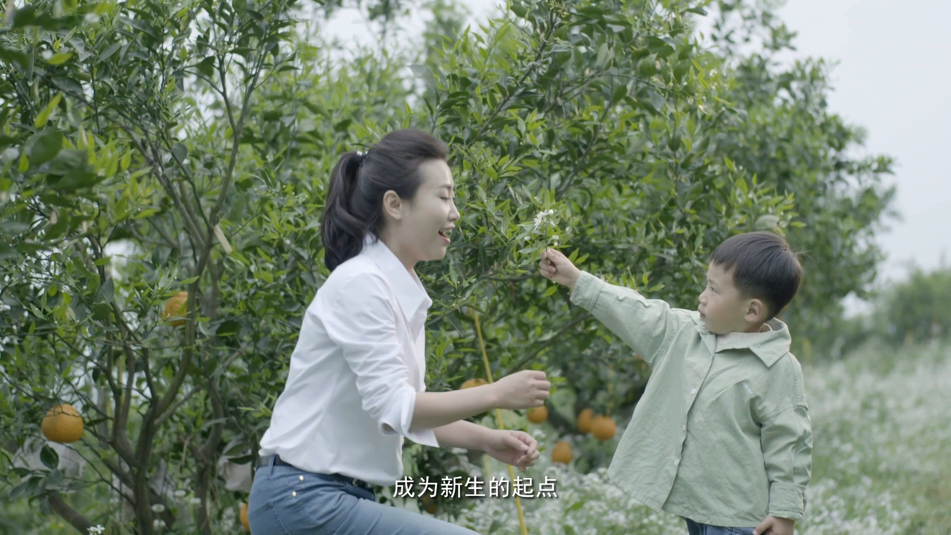 88ed6788-a70d-4238-9c42-9ed33c171956.jpg 88ed6788-a70d-4238-9c42-9ed33c171956.jpg