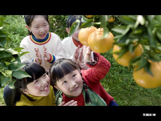 丰收的季节.mp4_20220208_170446.993.jpg