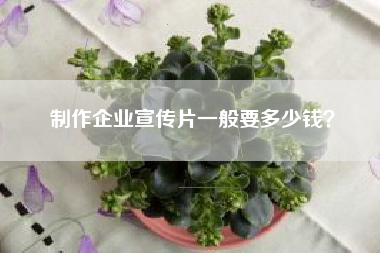 制作企业宣传片一般要多少钱？