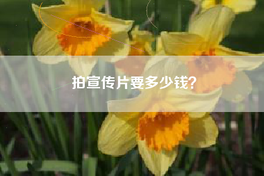 拍宣传片要多少钱？