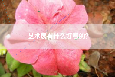 艺术展有什么好看的？