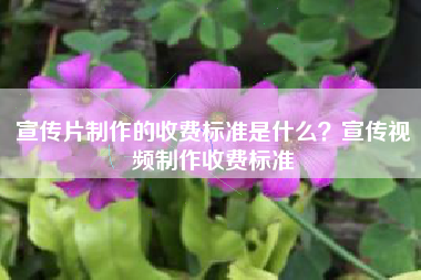 宣传片制作的收费标准是什么？宣传视频制作收费标准