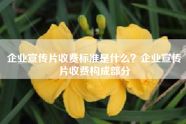 企业宣传片收费标准是什么？企业宣传片收费构成部分