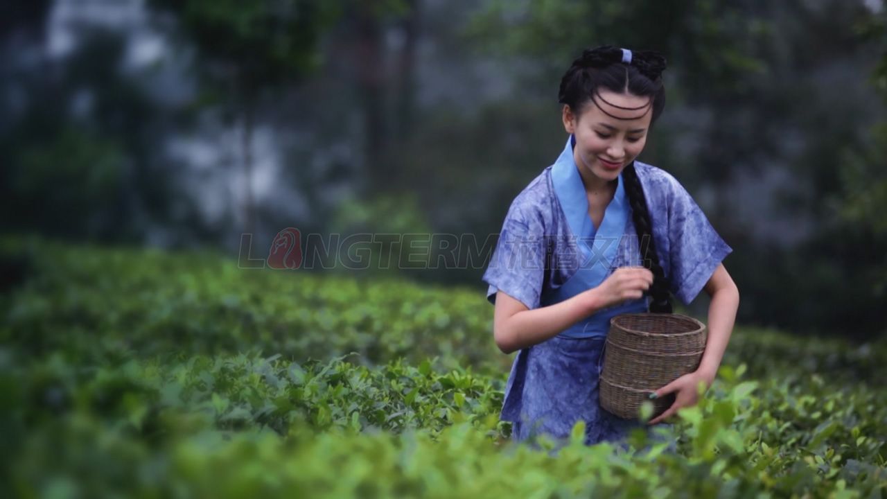 了翁茶广告片_茶叶广告片_成都茶叶公司宣传片_茶叶形象宣传广告片拍摄制作公司