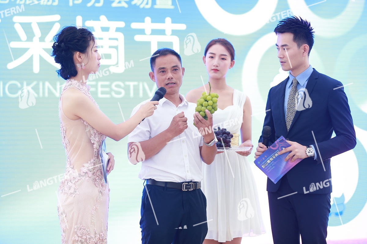2019彭山葡萄节活动策划