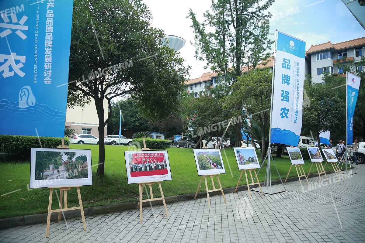 2019彭山葡萄节活动策划