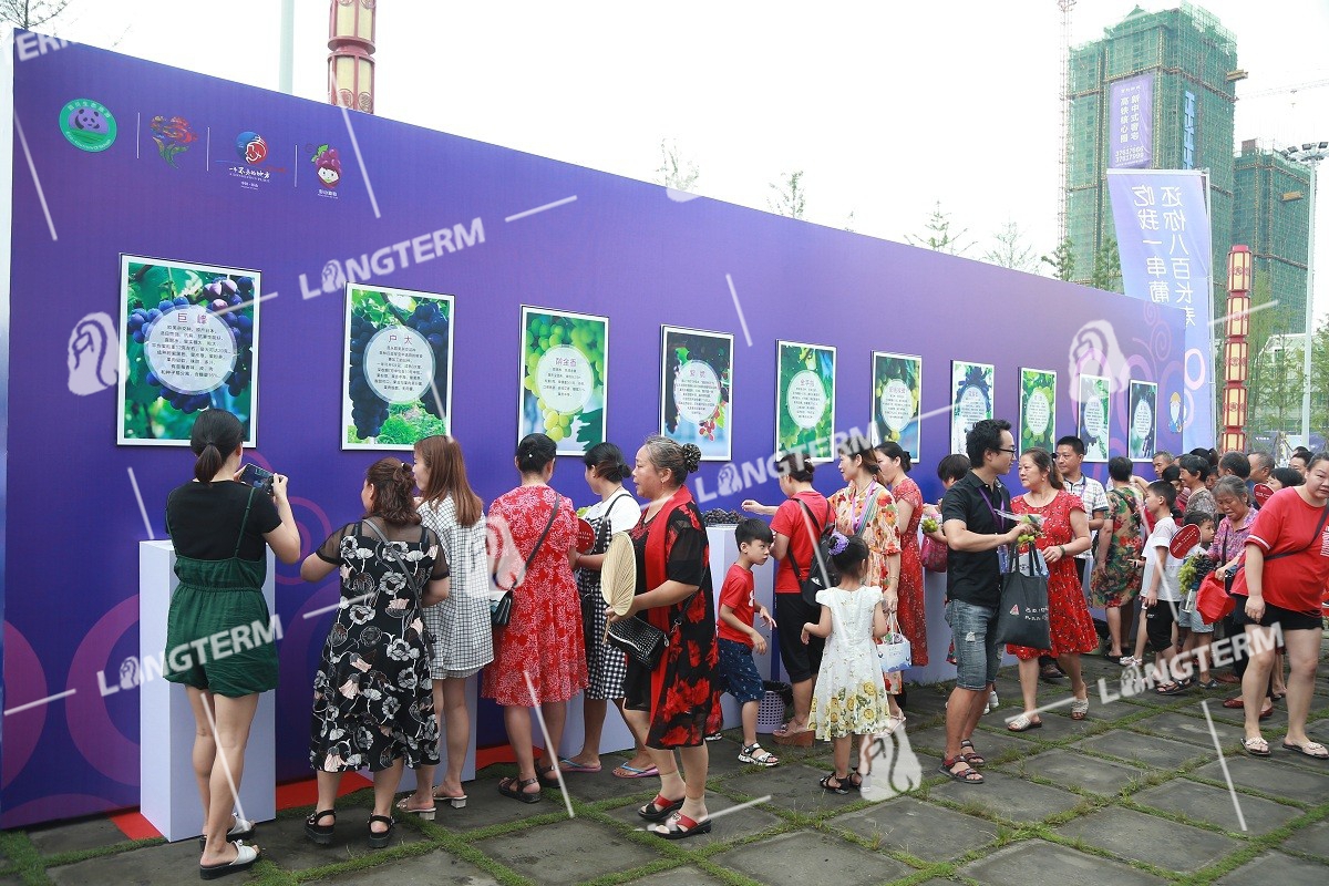 2019彭山葡萄节活动策划