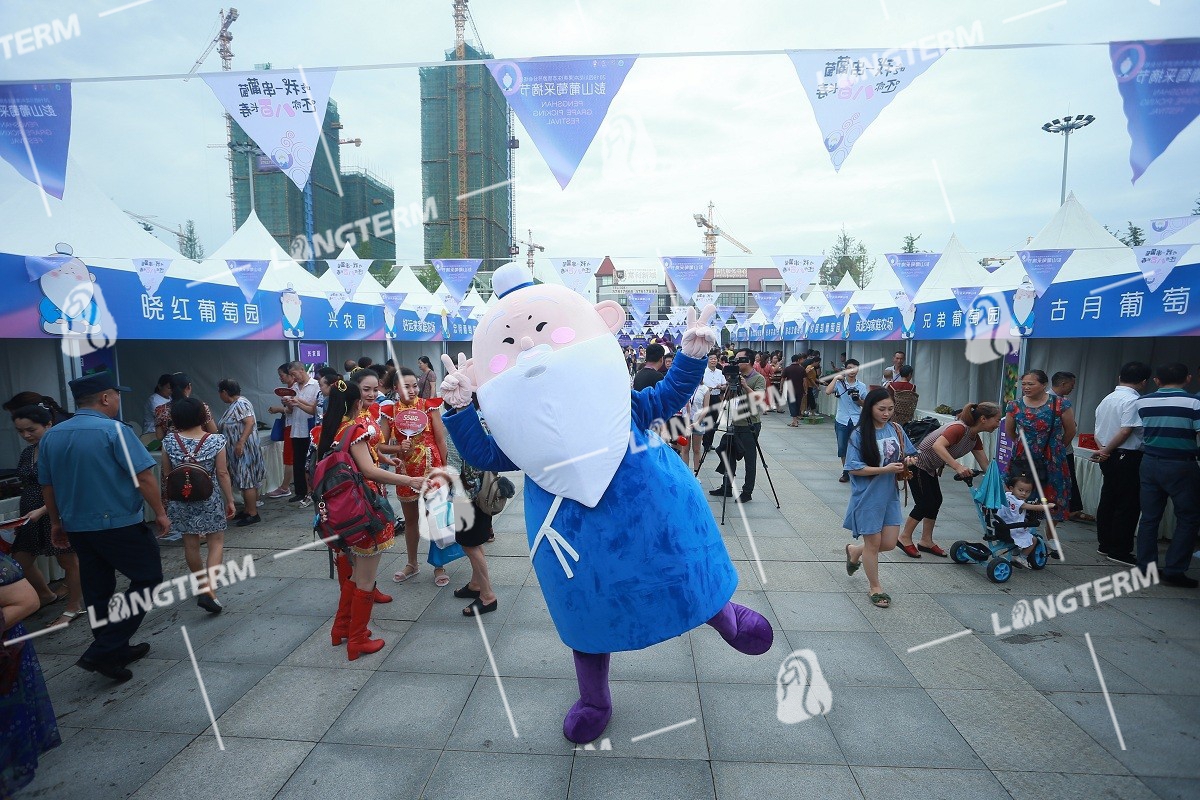 2019彭山葡萄节活动策划
