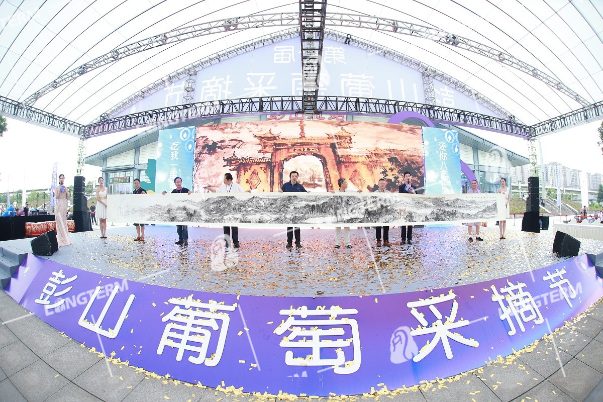 2019彭山葡萄节活动策划