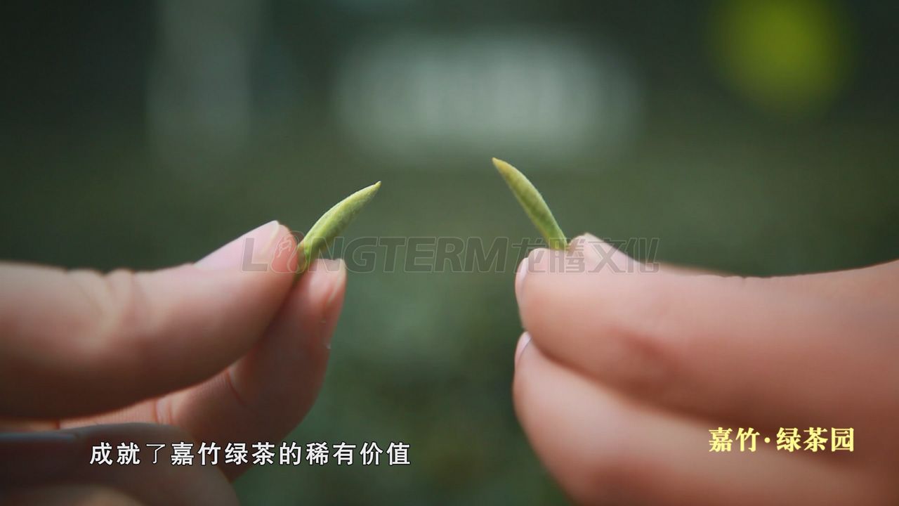 嘉竹茶业宣传片_茶叶公司形象宣传片拍摄制作_茶叶广告片_茶叶企业宣传片