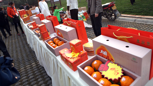 丹棱不知火桔橙节活动策划与推介会